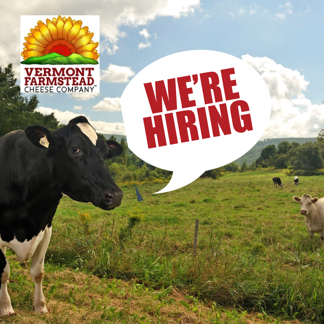 We're Hiring! Vermont Farmstead Cheese Company is Seeking a Sales Manager, Creamery Assistant, Cut and Wrap Associate