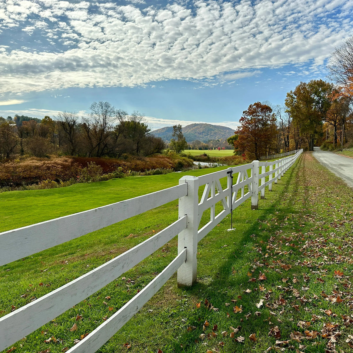 Vermont Farmstead Cheese Co - About - Farm